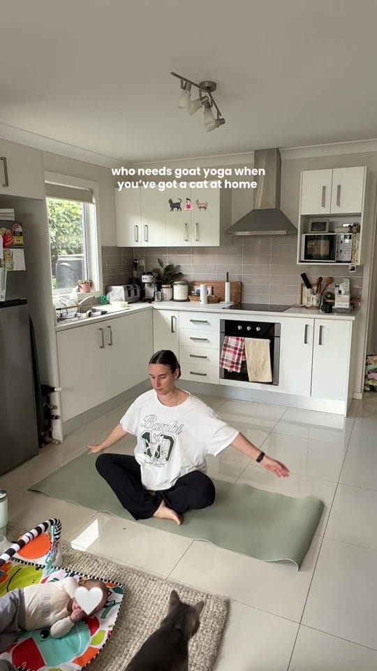 Post 7 by taylorgraced on TikTok (video)