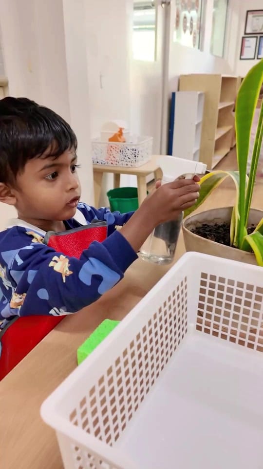 Post 5 by Montessori Academy Australia on TikTok (video)