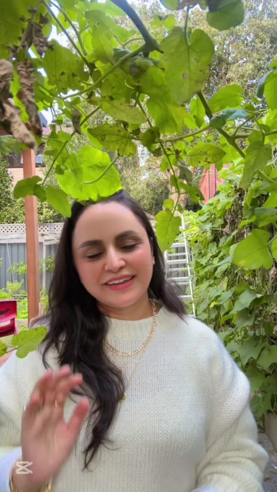 Post 4 by Samiksha 🇦🇺 on TikTok (video)