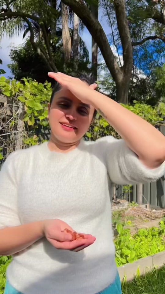 Post 3 by Samiksha 🇦🇺 on TikTok (video)