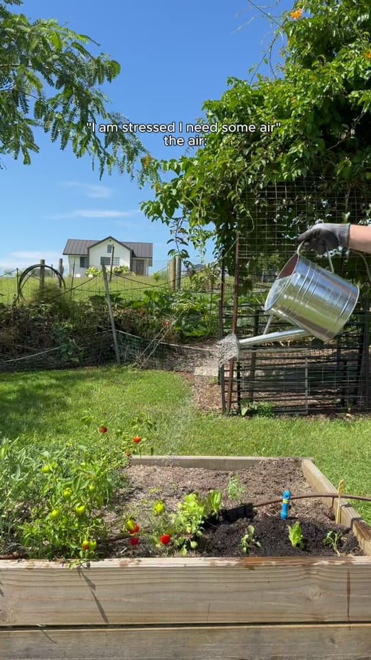 Post 8 by Searles Garden Products on TikTok (video)