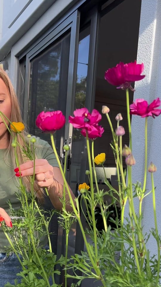 Post 4 by Searles Garden Products on TikTok (video)