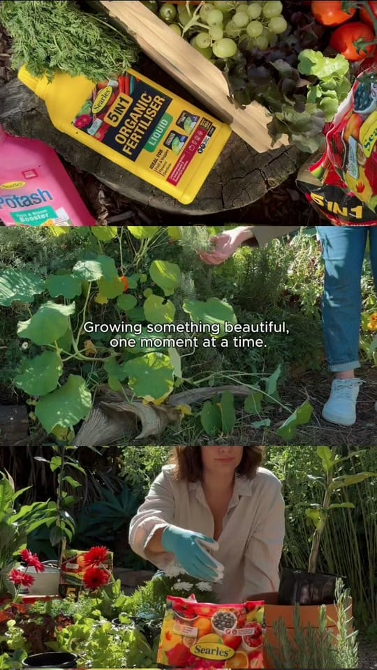 Post 9 by Searles Garden Products on TikTok (video)