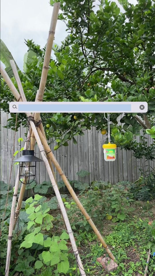 Post 1 by Searles Garden Products on TikTok (video)