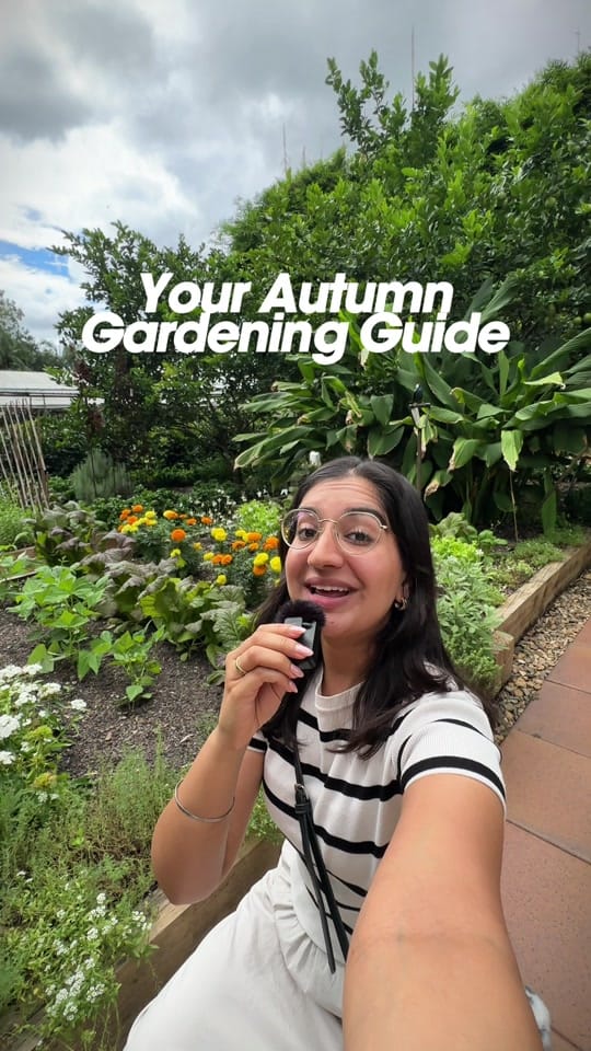 Post 10 by Searles Garden Products on TikTok (video)