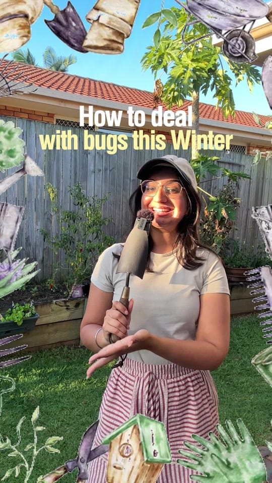 Post 2 by Searles Garden Products on TikTok (video)
