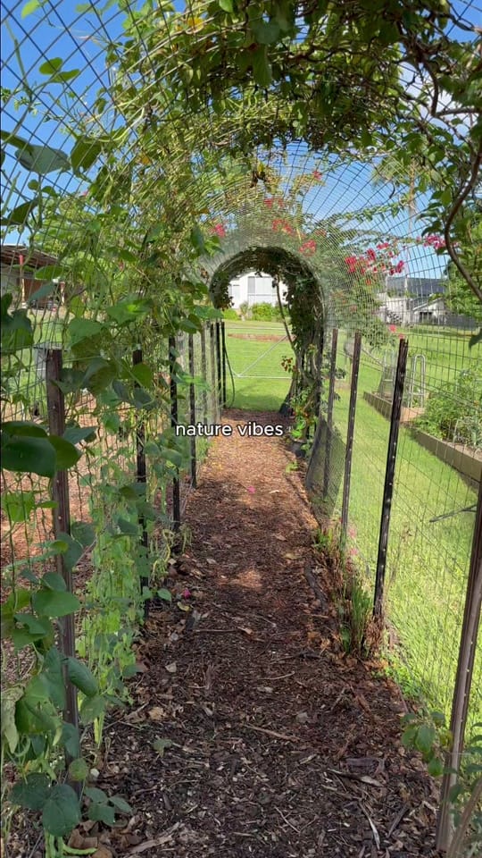Post 6 by Searles Garden Products on TikTok (video)
