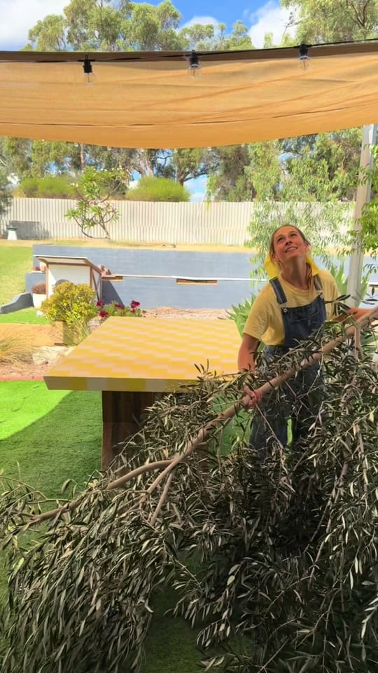 Post 2 by jodimagine on TikTok (video)
