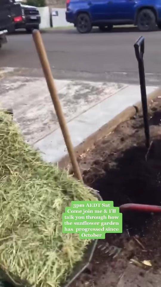 Post 2 by costagardeningaustralia on TikTok (video)