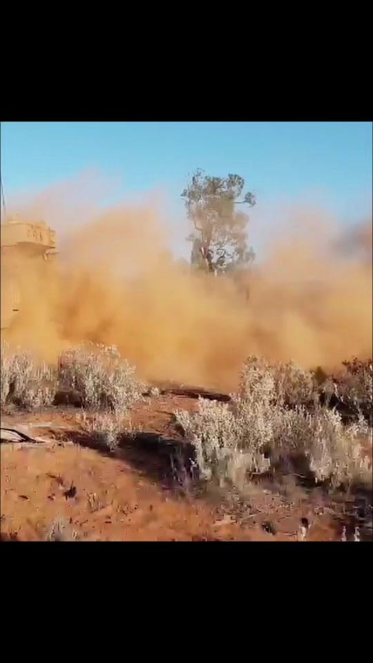 Post 7 by The Pineapple Express on TikTok (video)