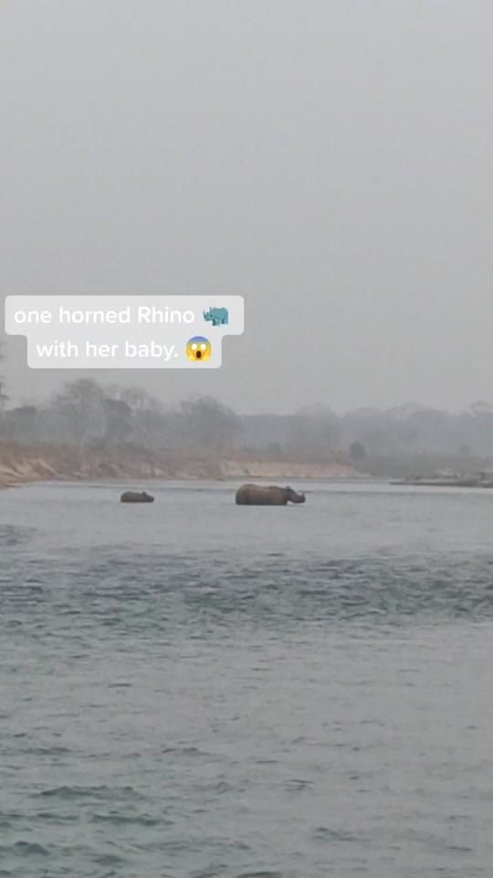 Post 7 by RealRabi on TikTok (video)