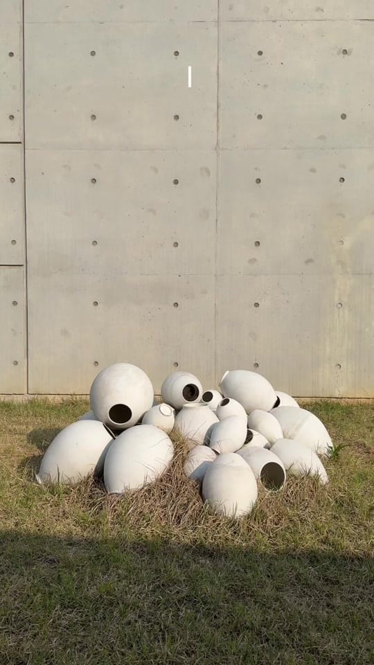 Post 10 by Annabel Scanlen on TikTok (video)