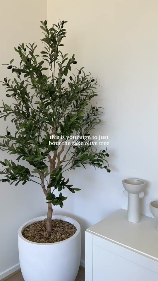 Post 8 by LETICIA | HOME & ORGANISATION✨ on TikTok (video)