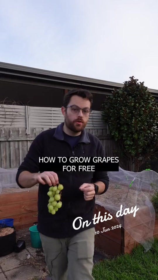 Post 3 by Culinary Garden on TikTok (video)