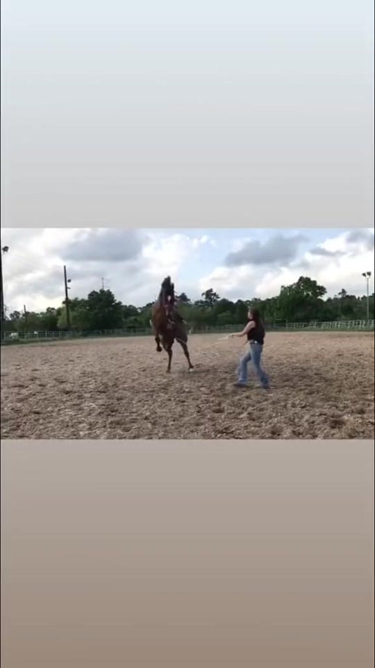 Post 9 by pie_022z on TikTok (video)