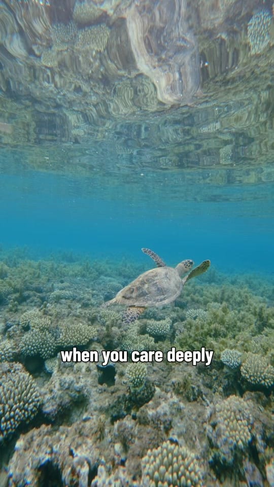 Post 6 by Australian Conservation Fndn. on TikTok (video)