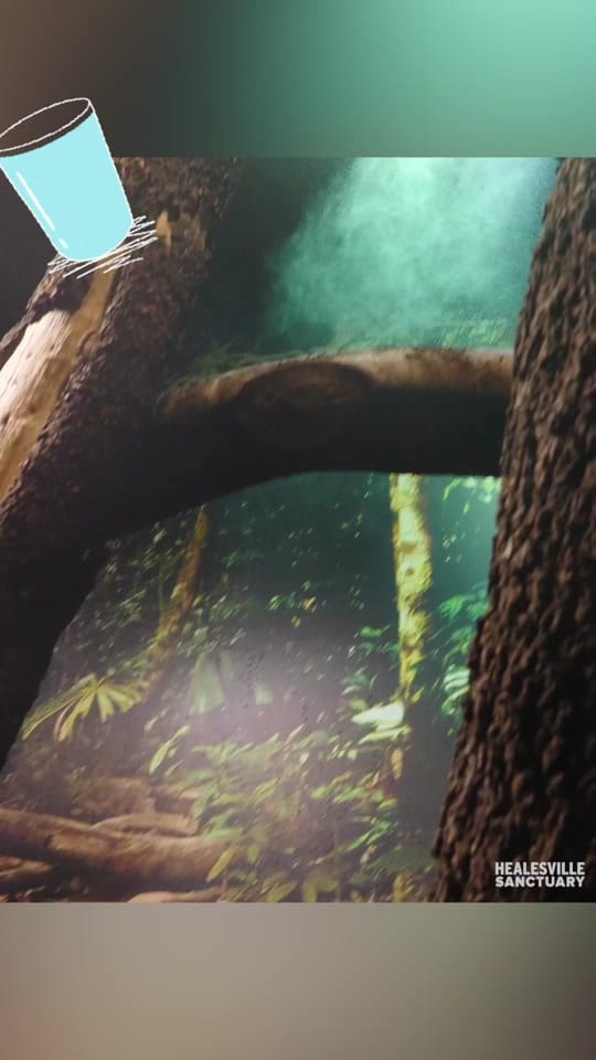 Post 3 by Zoos Victoria on TikTok (video)