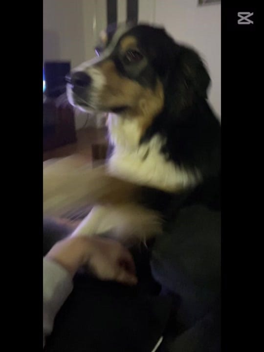 Post 4 by Ashleigh Stapleton on TikTok (video)