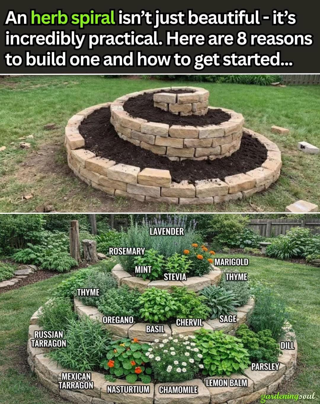 Post 9 by Friends Gardening & Landscapin on TikTok (video)