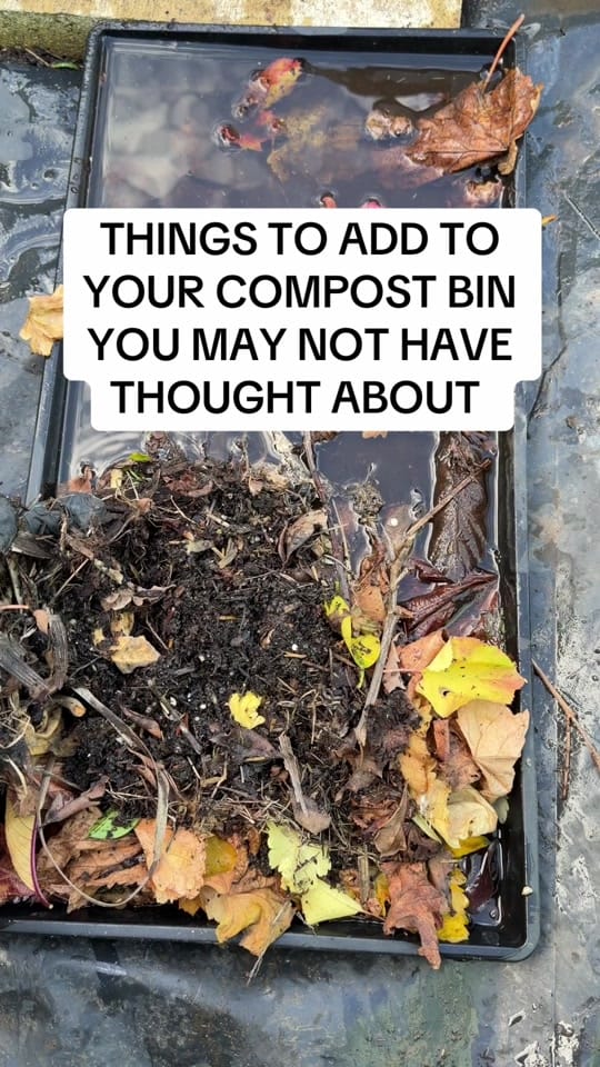 Post 1 by busy chris gardening on TikTok (video)