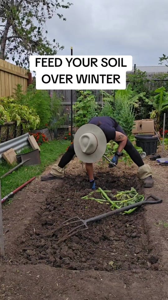 Post 8 by busy chris gardening on TikTok (video)