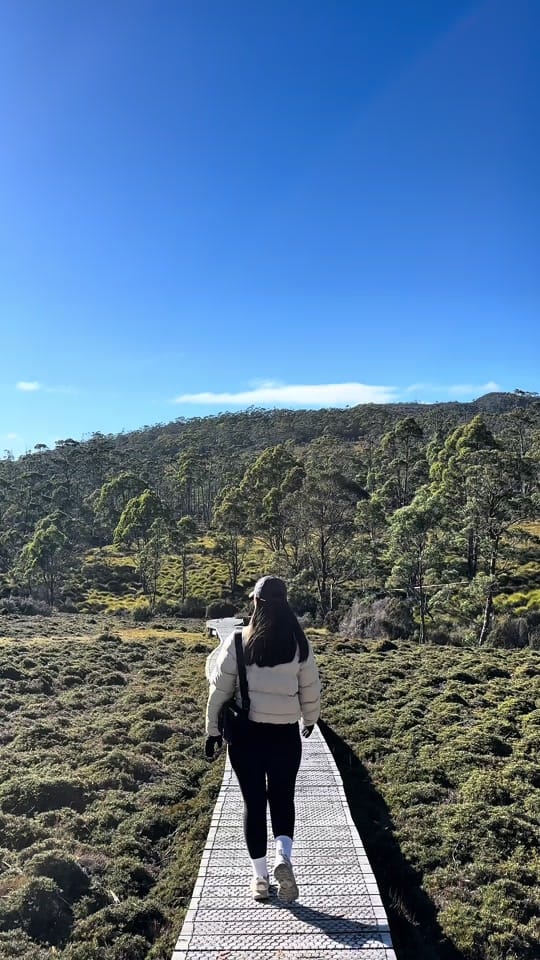 Post 5 by estelle_dupreez on TikTok (video)