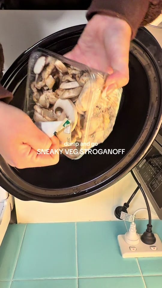 Post 5 by Lauren 🪩🍒 on TikTok (video)