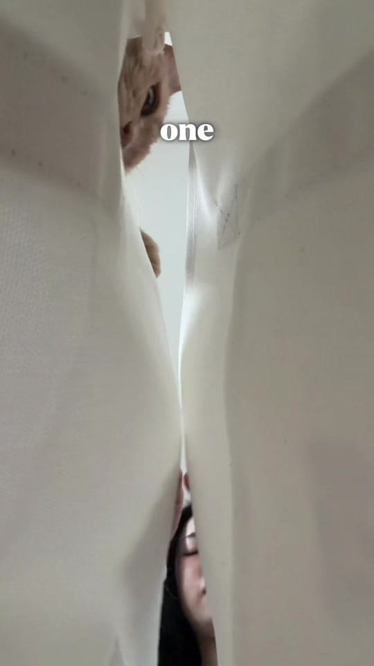 Post 1 by Gwen | Melbourne Foodie 🍒 on TikTok (video)