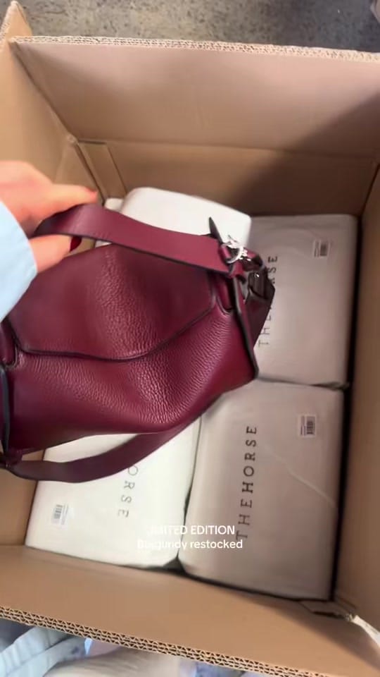 Post 6 by The Horse on TikTok (video)