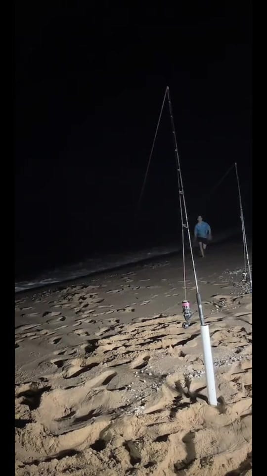 Post 8 by Saltwater Hookups on TikTok (video)