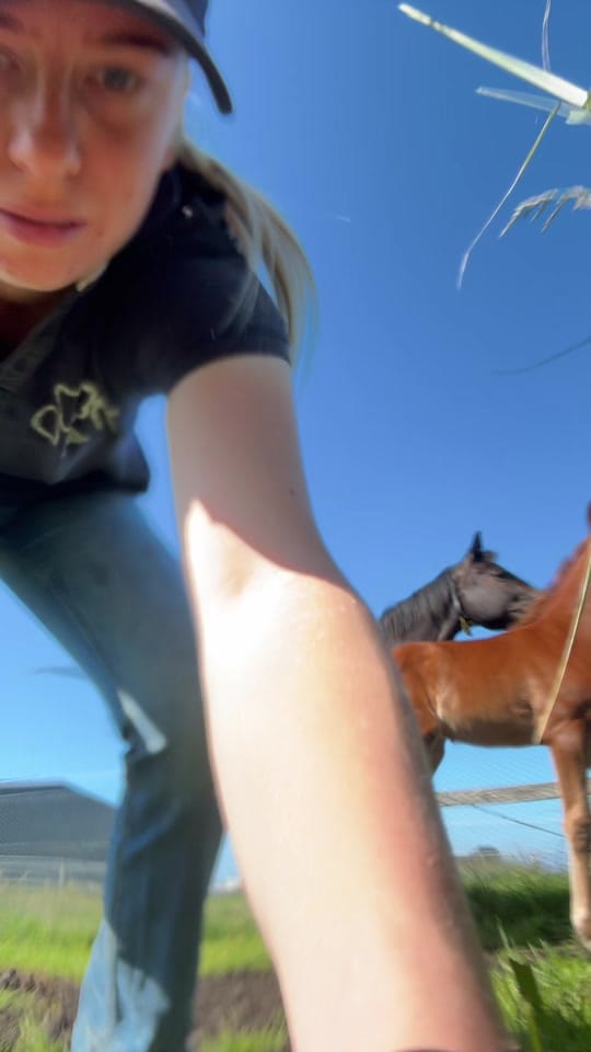 Post 7 by Abi brooks on TikTok (video)