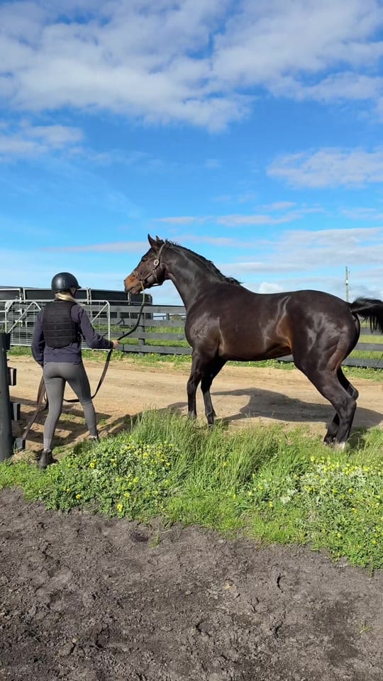 Post 8 by Abi brooks on TikTok (video)