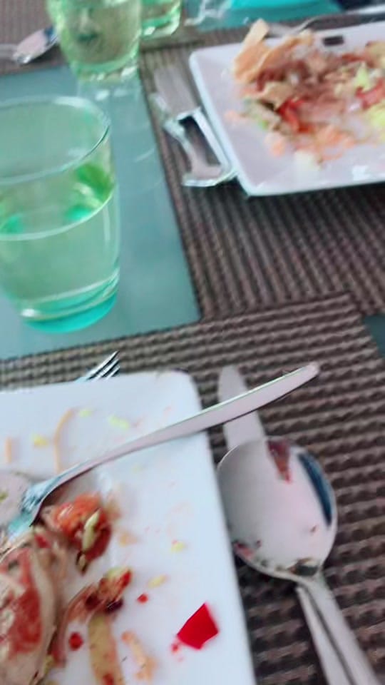 Post 9 by NyxenPavan 🇦🇺 on TikTok (video)