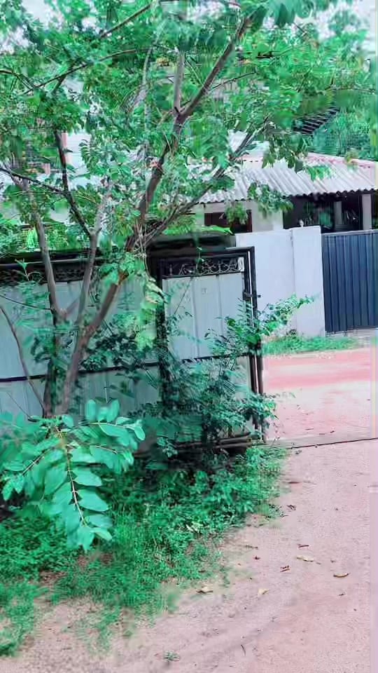 Post 10 by NyxenPavan 🇦🇺 on TikTok (video)