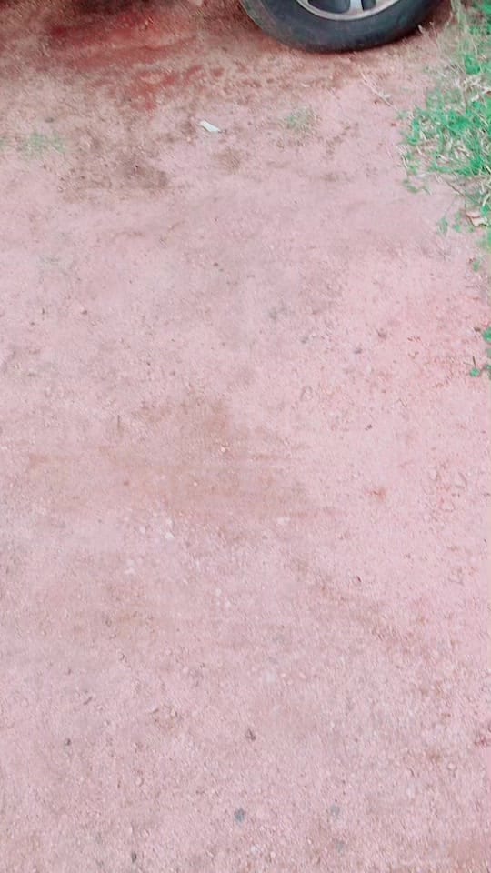Post 8 by NyxenPavan 🇦🇺 on TikTok (video)