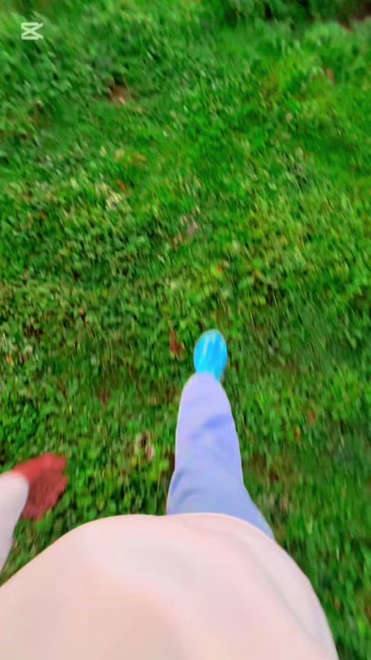 Post 2 by NyxenPavan 🇦🇺 on TikTok (video)