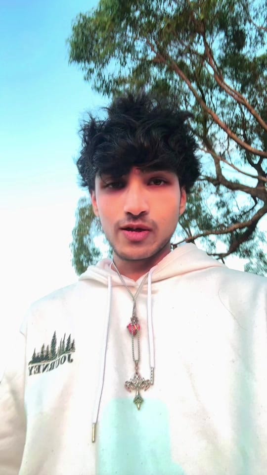 Post 3 by NyxenPavan 🇦🇺 on TikTok (video)