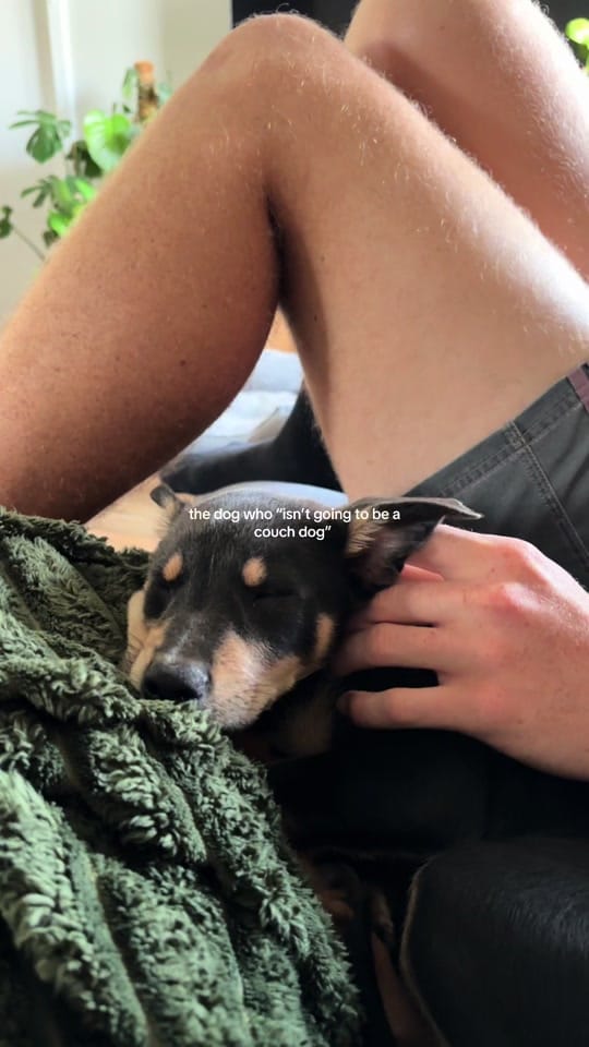 Post 5 by jaz on TikTok (video)