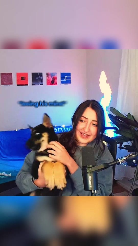 Post 3 by Demalay on TikTok (video)