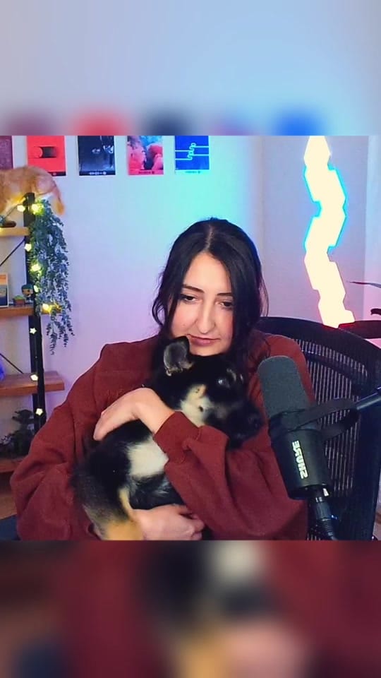 Post 4 by Demalay on TikTok (video)