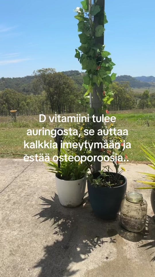 Post 2 by Sini Ariell on TikTok (video)
