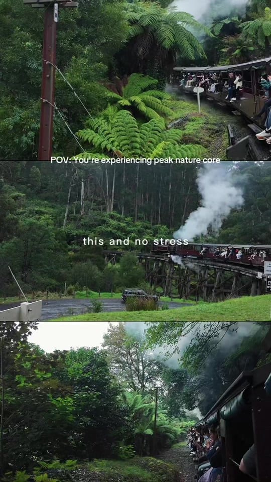 Post 4 by Kiran Shrestha on TikTok (video)