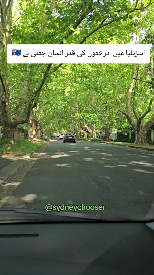 Post 4 by Mirza 🇵🇰🇦🇺 on TikTok (video)