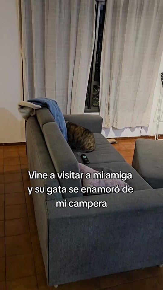 Post 10 by Cariri(to) on TikTok (video)