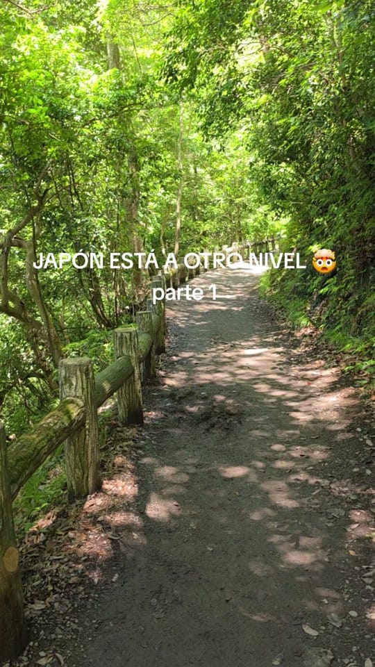 Post 3 by Cariri(to) on TikTok (video)