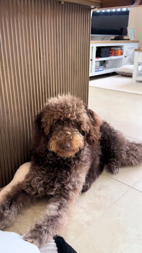 Post 3 by Michelle on TikTok (video)