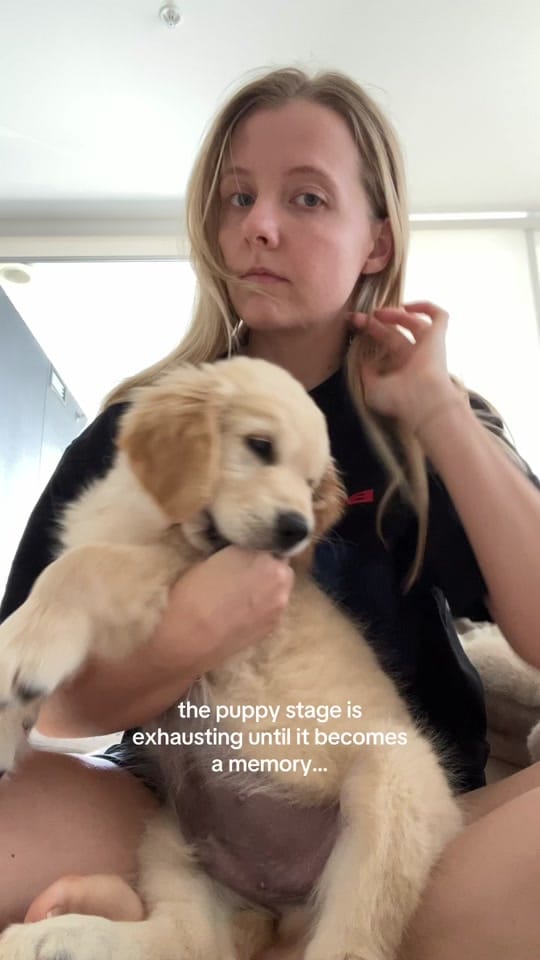 Post 8 by Georgie ◡̈ on TikTok (video)