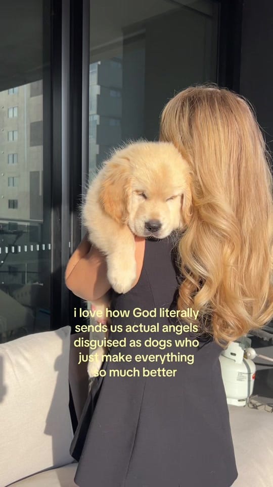 Post 5 by Georgie ◡̈ on TikTok (video)