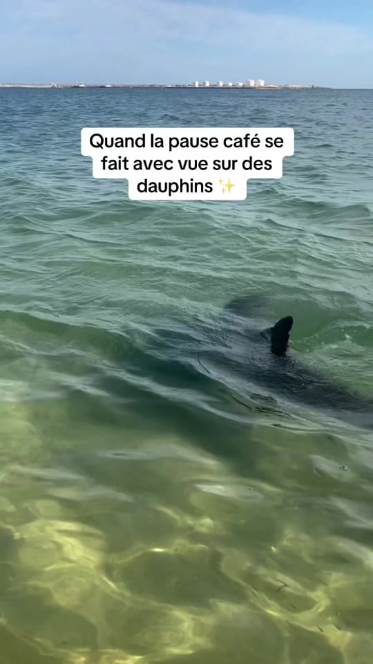 Post 8 by Aya🌸 on TikTok (video)