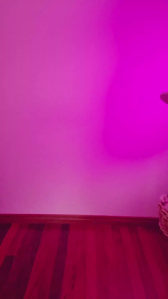 Post 7 by Rinzi𖹭 on TikTok (video)